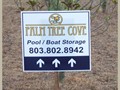 PalmTree-Directional-BIG
