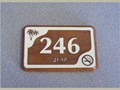 RM-246-PalmTree-BIG